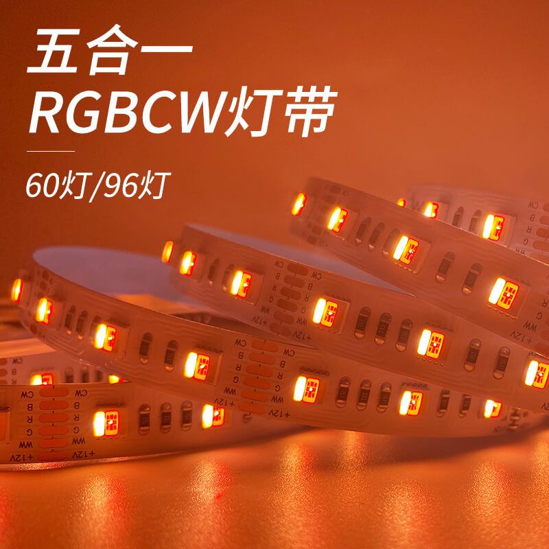 RGB CCT 5050双色温调光五合一6线复合灯带 DC12V/24V - 2