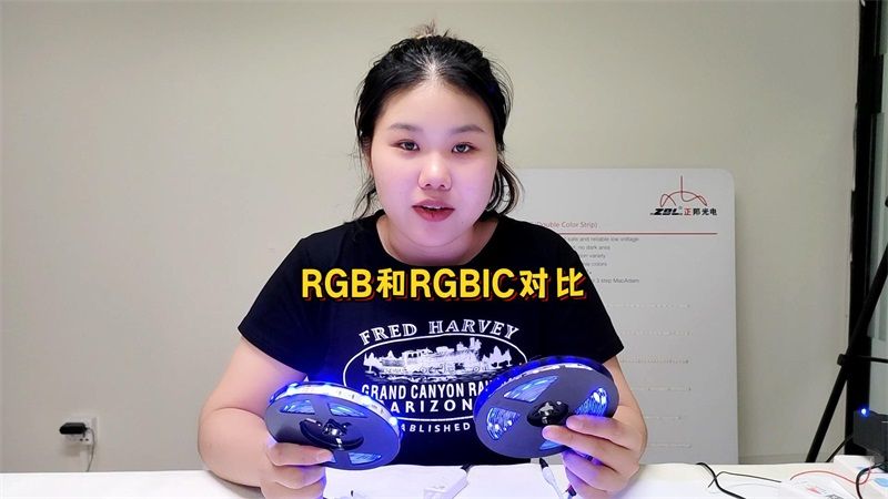 RGB vs RGBIC: 灯带中的两大巨头有什么区别？